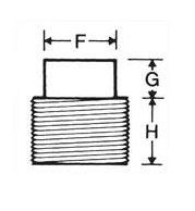 THD PLUG (SQUARE HEAD, HEX HEAD)